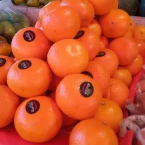 jeruk mandarin 1kg