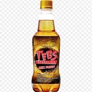 Tebs Sparkling Tea BTL 500ml