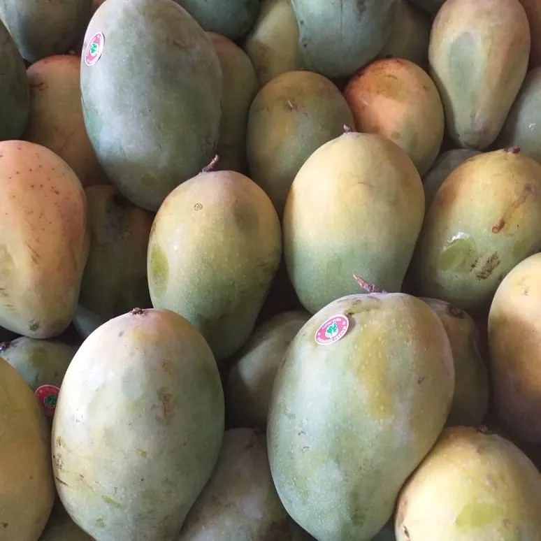 mangga harum manis 1kg