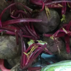 Buah Bit 1kg