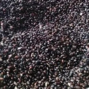 Ampas Kecap 120g