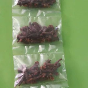 BUNGA CENGKEH