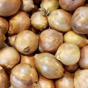 bawang bombai 1kg