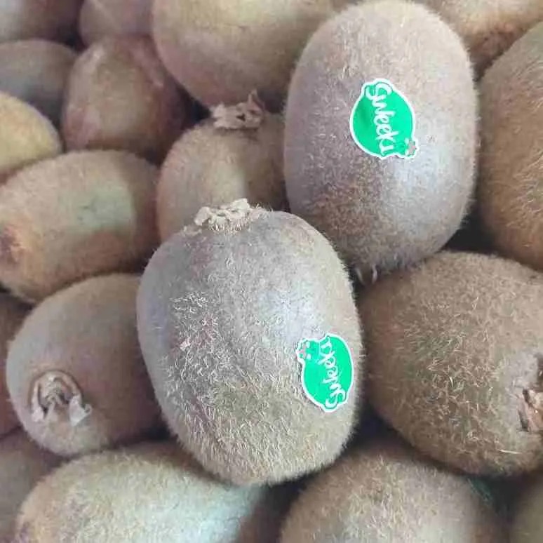 Buah Kiwi 1 Kg