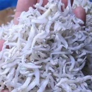 TRI MEDAN / TRI NASI 100g