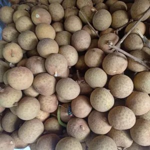 buah lengkeng 1kg atau 500g
