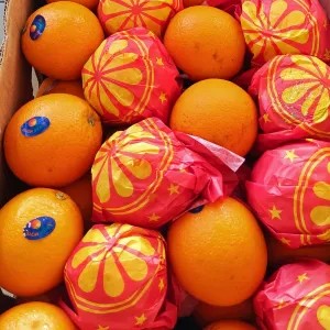 Jeruk Sunkist Valencia 1kg