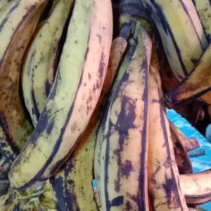 Pisang Tanduk 1kg