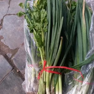 daun bawang 1kg