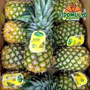 1 Buah Nanas Honi Sunpride JUMBO