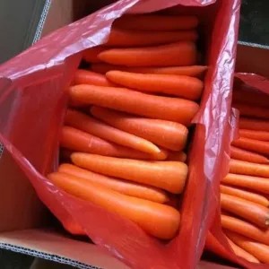 wortel import 1kg