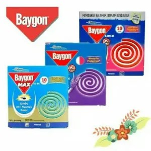Baygon bakar