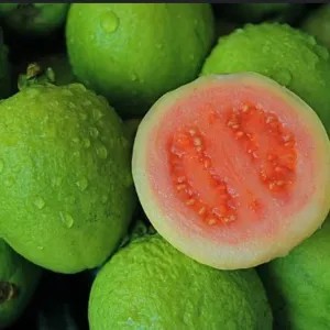 Jambu Biji 1kg