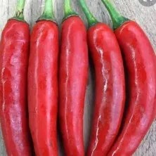 cabe merah besar 1 kg