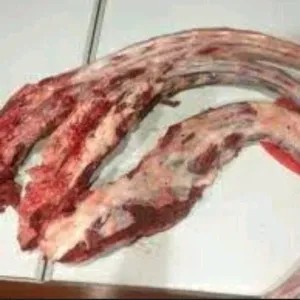 buntut sapi 1 kg 1kg