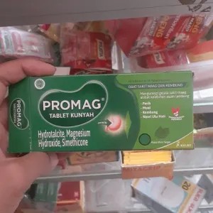 Promag tablet  (1 lembar) 10per pack