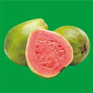 Jambu Biji 1kg