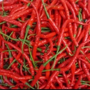 Cabe merah keriting 1kg
