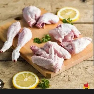 ayam pejantan potong 4