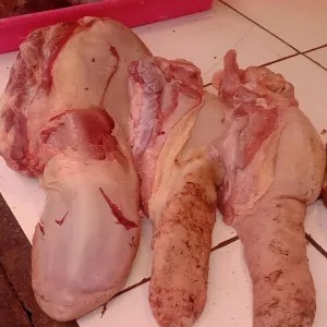 lidah sapi 1kg