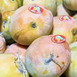 mangga gincu 1kg