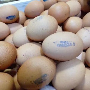 telor omega 1000g