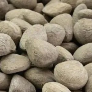Keluwek 100g