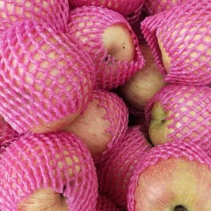 Apel Fuji 1 Kg 1kg