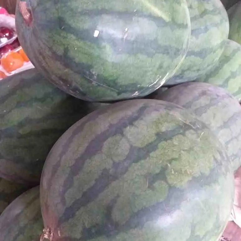 Buah Semangka 1 Biji