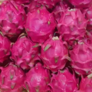 Buah Naga Merah 1kg