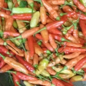 cabe rawit merah 1kg