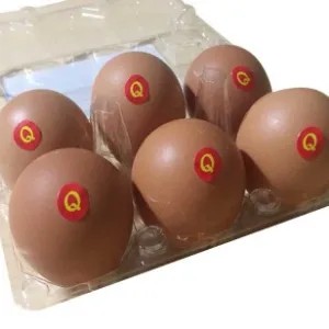 TELOR NEGRI OMEGA 1kg