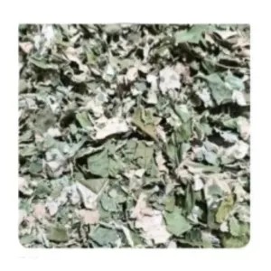 Daun Bidara Kering