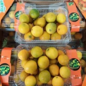 Jeruk Honey Kimkit 400g