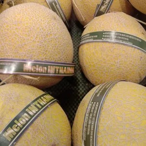 melon inthanon