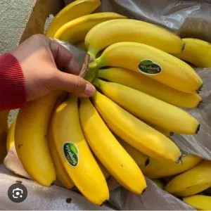 pisang sunpride satu cengkeh  cavendish matang siap makan