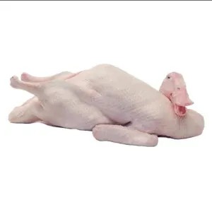 Bebek Potong Segar (1ekor) 1per pack