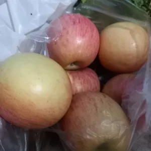 apel puji segar 1kg