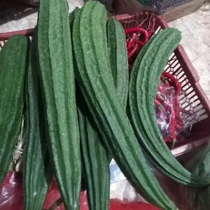 oyong 1kg