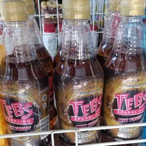 tebs botol 500ml