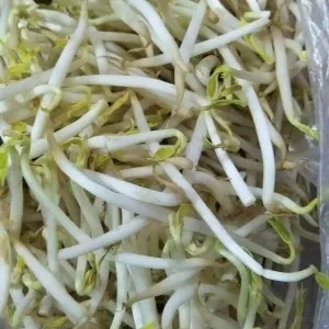 Toge Jepang 250g