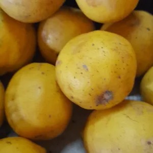 LEMON LOKAL 1kg
