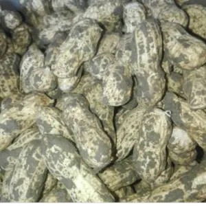kacang tanah kulit basah 500g