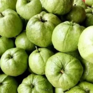 Jambu Kristal 1kg