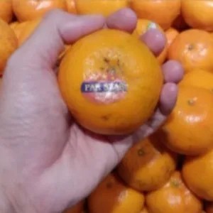 Jeruk Kino Mandarin 1kg