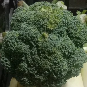 Brokoli 1kg