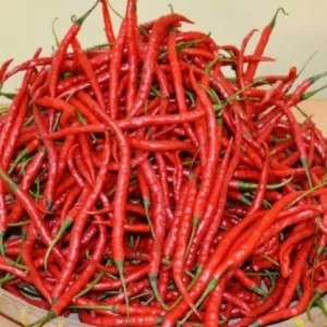 Cabe Kriting merah Fres 1kg