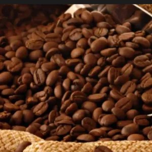 KOPI ROBUSTA JAWA TIMUR 100g