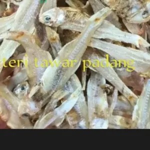 IKAN TERI TAWAR PADANG 100g