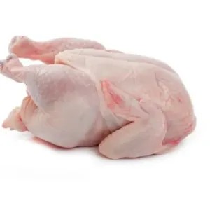 AYAM BROILER SEDENG / EKOR 1kg